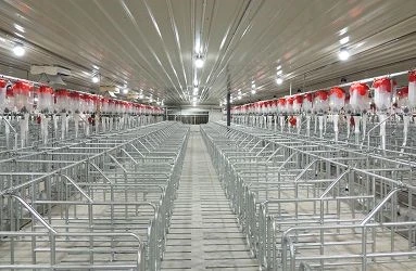 Pig equipment